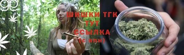 крисы Балахна